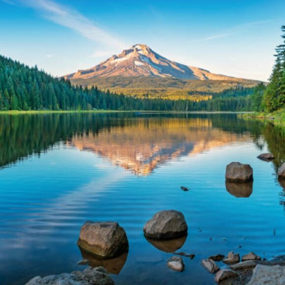 The Mt. Hood Collective Vintage Market - Picture 5 of 16